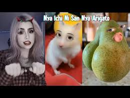 All #arigato dishes are prepared with a great amount of love and care that suits #chinese and #japanese 🥢 lovers. Nya Arigato Dance Know Your Meme