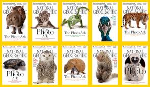 What Animal Is Most Like You Animals Animals Images Animal Photo