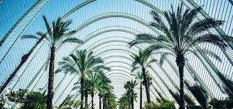 A good paella always hides. Barcelona To Valencia Train Tickets Acp Rail