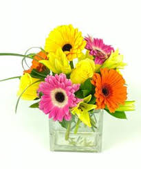 Not a problem for myglobalflowers as we offer flower delivery to any part of the globe with a 100% fresh order by 16:00 local time if you need it delivered on the same day. 53 Just Because Ideas In 2021 Flowers Send Flowers Flower Delivery