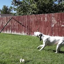 Dog Toys Drawing Pet Accessories Outdoor Dog Toys Dog Toys Dog Agility Course