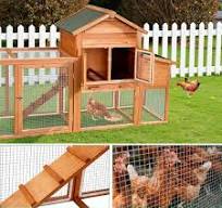 Wooden Chicken Coop Large Outdoor Hen House With Nest Box