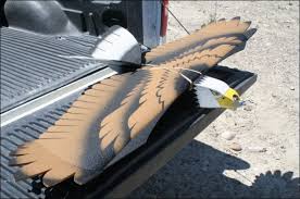 Intuitive fred888: Flying Eagle drone prototypes