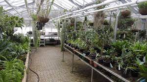 The hortus botanicus assindiensis and the gruga form the nucleus of today's grugapark. Botanischer Garten Der Universitat Des Saarlandes Dobschat Io