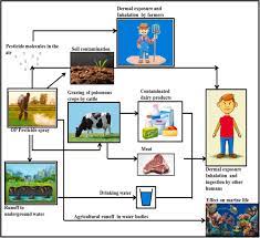 A Treatise On Organophosphate Pesticide Pollution Current Strategies And Advancements In Their Environmental Degradation And Elimination Sciencedirect