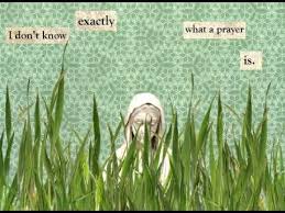 The Summer Day Animated Poem By Mary Oliver Youtube Mary Oliver Poems Summer Days