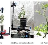 Techniques for Canopy to Organ Level Plant Feature ...