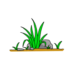 In the end, color the grass. Ayahlhkese1p M