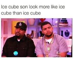 34 Funny Photos In The Meme Stream Ice Cube Son Funny Memes Funny Photos