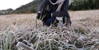 We did not find results for: Wisatawan Rela Tembus Suhu Dingin Demi Berburu Salju Di Dieng Travel Dream Co Id