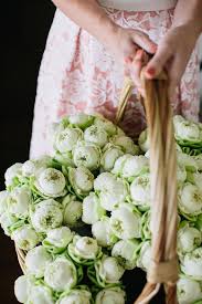 Keryn And Bryce Take Us To Thailand Beautiful Flowers Flowers Flower Shop