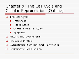 Maybe you would like to learn more about one of these? Chapter 9 The Cell Cycle And Cellular Reproduction Outline Ppt Video Online Download