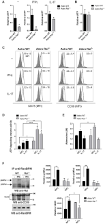 Ck harp & associates, llc. Frontiers A T Cell Suppressive Circuitry Mediated By Cd39 And Regulated By Shcc Rai Is Induced In Astrocytes By Encephalitogenic T Cells Immunology