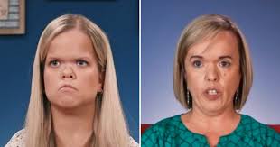 Anna Johnston Shades Mom Amber Amid 7 Little Johnstons Drama | In Touch  Weekly