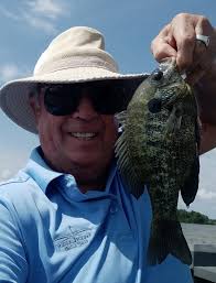 Nice shell cracker panfish, pond