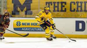 List of starting lineups djurgårdens if, ice hockey. Nlm7yxrakx4jrm