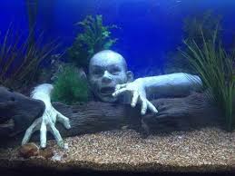 Decorating A Creepy Fish Tank Because Fish Also Every Day Is Halloween Fish Tank Themes Scary Fish Fish Tank Decorations