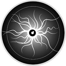 plasma globe lightning free vector graphic on pixabay plasma globe lightning free vector