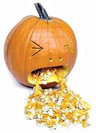 Cats have sophisticated palates, and it may seem like your cat won't go crazy for the flavor of pumpkin. Pin On Halloween