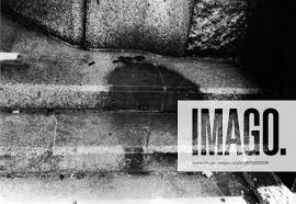 Image result for hiroshima human shadow