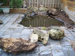 See more ideas about backyard, backyard makeover, outdoor gardens. How I Rebuilt My Entire Backyard The Art Of Doing Stuff