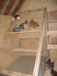 Image Result For Chicken Coop Roost Instructions Tavuk Kumesi Planlari Tavuk Kumesleri