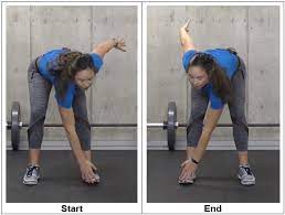 Erector spinae refers to four individual muscles that run the length of the spine. Crossover Toe Touches Exercises For Injuries