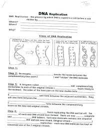 Remember, if you have a good idea about what your service or transcription coloring worksheet answers are, you will be more successful in making a decision about which transcription or. Dna Coloring Transcription And Translation Worksheet Answer Key Promotiontablecovers