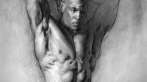 In the figure drawing course you learned a lot of core concepts of drawing the figure, but your training isn't complete if you want to take your drawings from looking good to looking like masterpieces. Proko Anatomy Of The Human Body