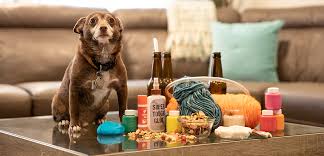 In case if your dog swallows it, it can cause a. These Popular Hobbies Could Pose A Threat To Pets Aspca