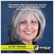 Community Cats Podcast