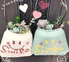 レティジアの投稿画像 by a rさん サンライズマムとローラとパールフォンニュルンベルグとカシミヤバイオレットとスノーキャンディとカリシアロザートと多肉中毒と多肉植物と格安多肉と暑さに負けるなと癒し と増えろ と多肉狩りとリメ缶 初心者と