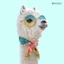 Happy Hits On Apple Music Cute Animal Photos Giraffe Pictures Cute Baby Animals