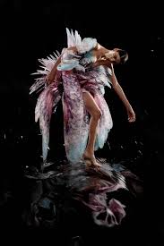 IRIS VAN HERPEN. SCULPTING THE SENSES