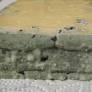 Public Awareness Falls Short on Mold Risks, German Experts Warn