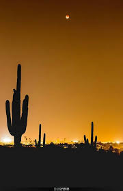 pin on beautiful tucson az pinterest