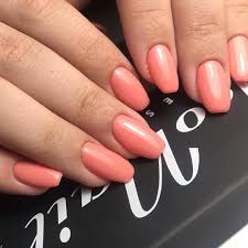 Apricot Ballerina Nagel Kurz Fullcover Koralle Fullcover Gelnagel Kastanienbraune Nagel Pfirsich Nagel Ovale Nagel