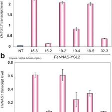 En el último tiempo, penna presentaba problemas de movilidad como también para escribir, según relató en una entrevista concedida el 2020 a su ex casa televisiva. Quantitative Real Time Rt Pcr Analysis Of Osysl2 And Hvnas1 A Download Scientific Diagram