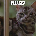 What you say when someone tells you something bizarre, insane, and completely atrocious and you are wishing in the deepest depth of your soul that. Please Meme Generator Imgflip