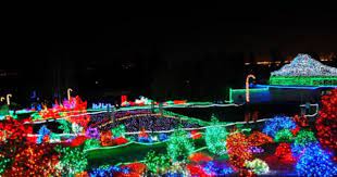 Seattle Local Flavor Christmas Lights Zoo Lights Rainy Day Fun Lights