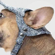 Dog Hats Dog Beanie Canada Pooch Dog Beanie Dog Hats Pooch
