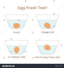 Vector Illustration Egg Freshness Test Instruction Stock Vector Royalty Free 1658176693