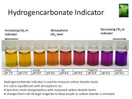 Carbon Dioxide Pmg Biology