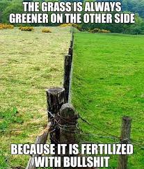 The Grass Is Always Greener On The Other Side Why The Grass Is Always Greener On The Other Side Daylol Com Dream Garden The Other Side Green