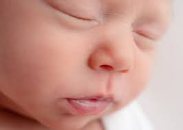 All Neutral Newborn Photography Session in Austin, Texas.