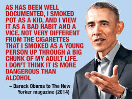 Does smoking weed cause you to lose hair? Cannabis Is No More Dangerous Than Alcohol Or Tobacco Times Of India