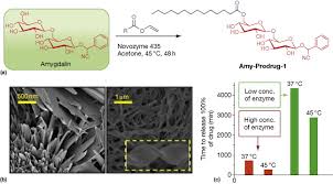 Amygdalin is a cyanogenic glycoside derived from nuts, plants, and the pits of certain fruits, primarily apricots. Amygdalin An Overview Sciencedirect Topics