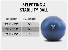 Stability Ball Pump 65 Cm