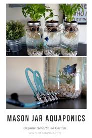 3 Mason Jar Aquaponics Kit Build Your Own Hydroponics Herb Garden Free Shipping Aquaponic Gardening Aquaponics Aquaponics System
