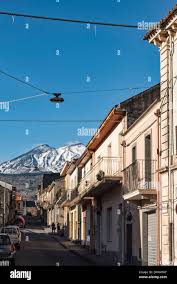 Image result for Isoglossa vulcanicola